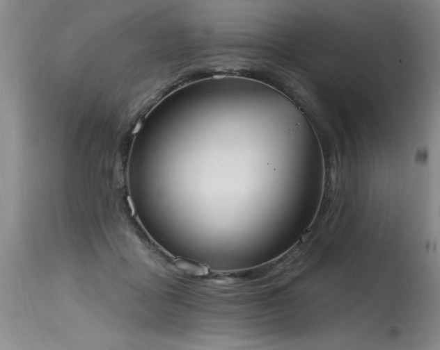 X0000115630411200911101442