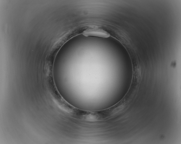 X0000115630412200911101442