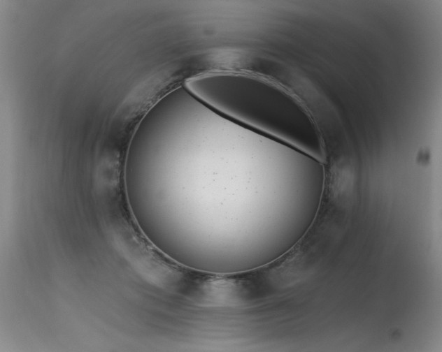 X0000115630413200911101442