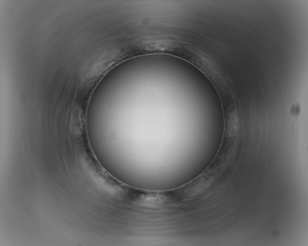 X0000115630414200911101442