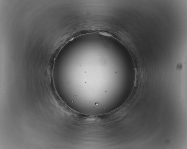X0000115630415200911101442