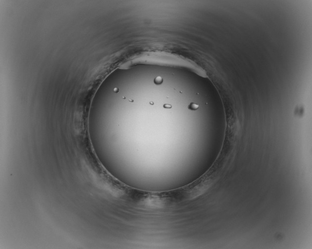X0000115630416200911101442
