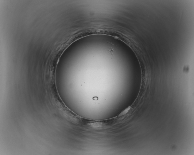 X0000115630417200911101442