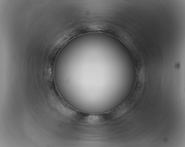 X0000115630418200911101442