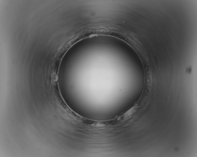 X0000115630419200911101442