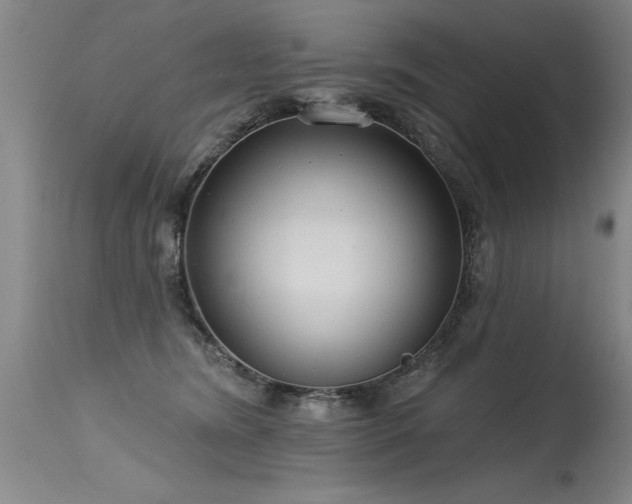 X0000115630420200911101442