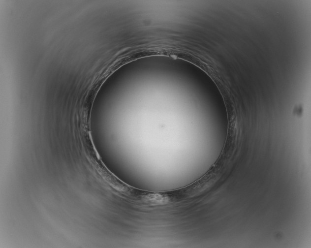 X0000115630421200911101442