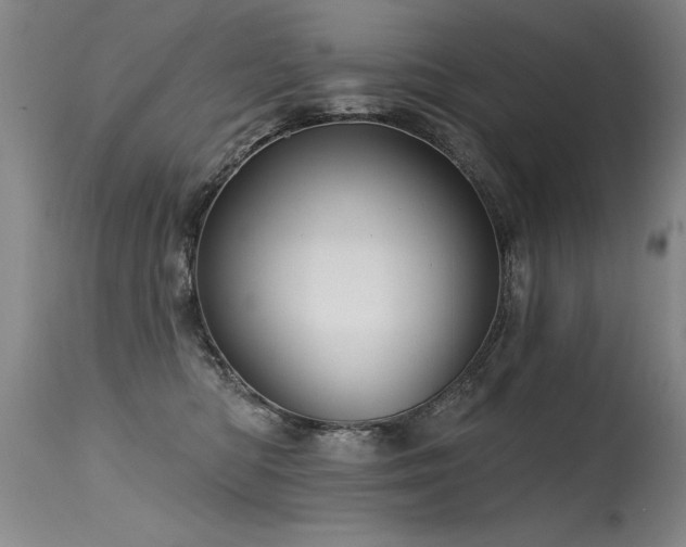 X0000115630422200911101442