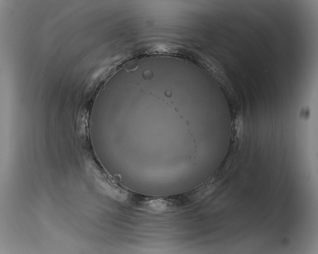 X0000115630423200911101442