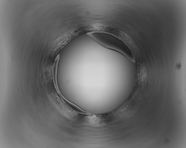 X0000115630425200911101442