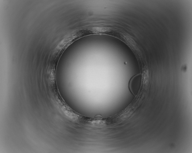 X0000115630426200911101442