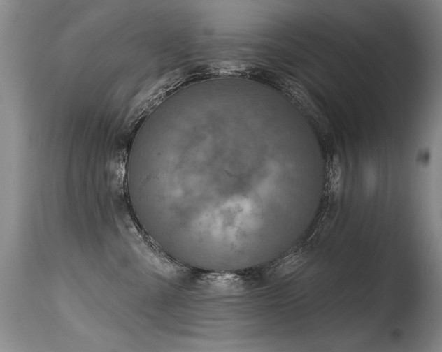 X0000115630427200911101442
