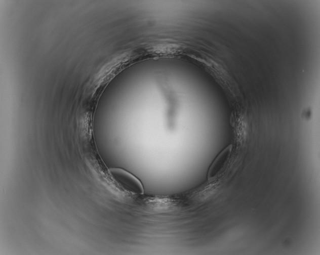 X0000115630428200911101442