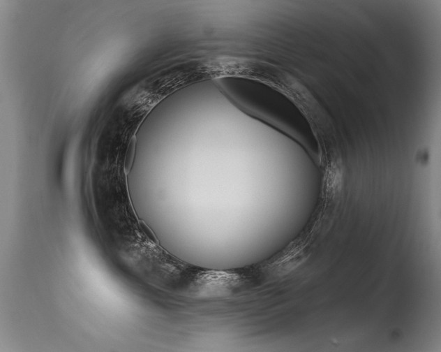 X0000115630429200911101442