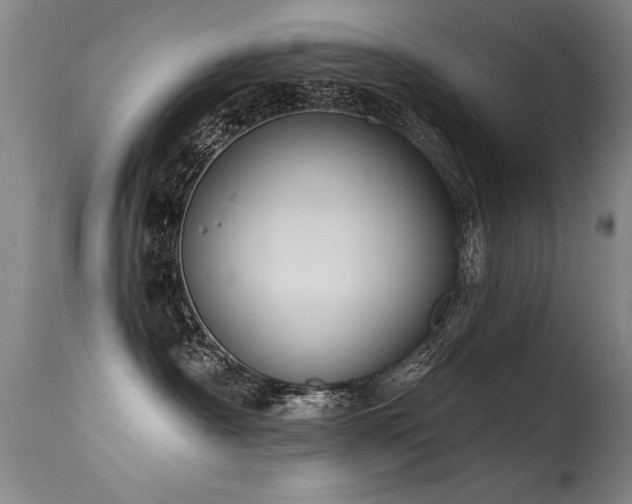 X0000115630430200911101442