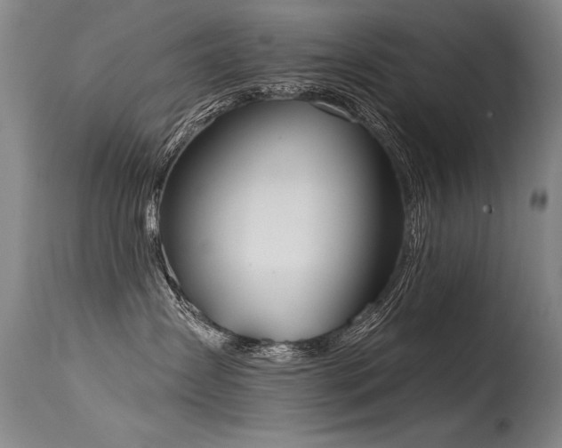 X0000115630431200911101442