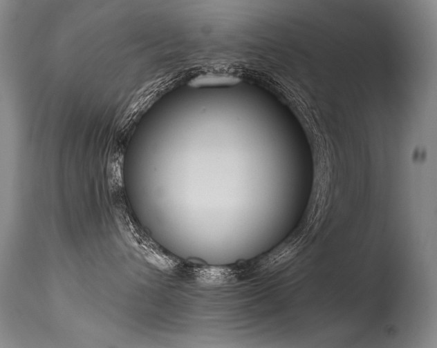X0000115630432200911101442