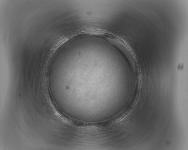 X0000115630433200911101441