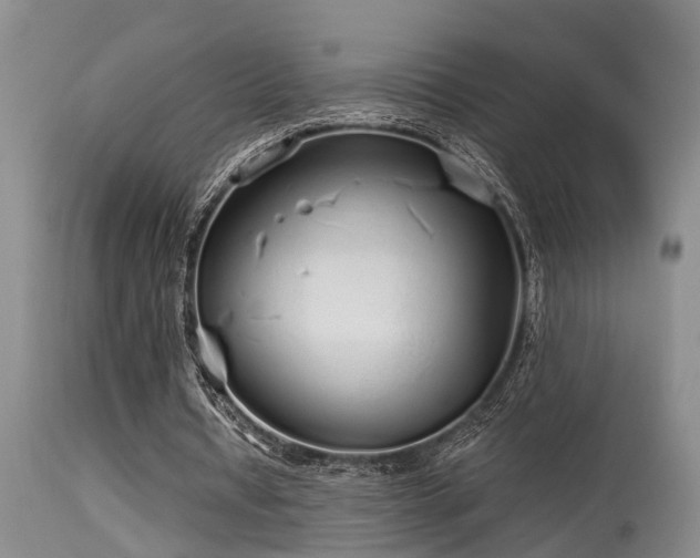X0000115630434200911101441