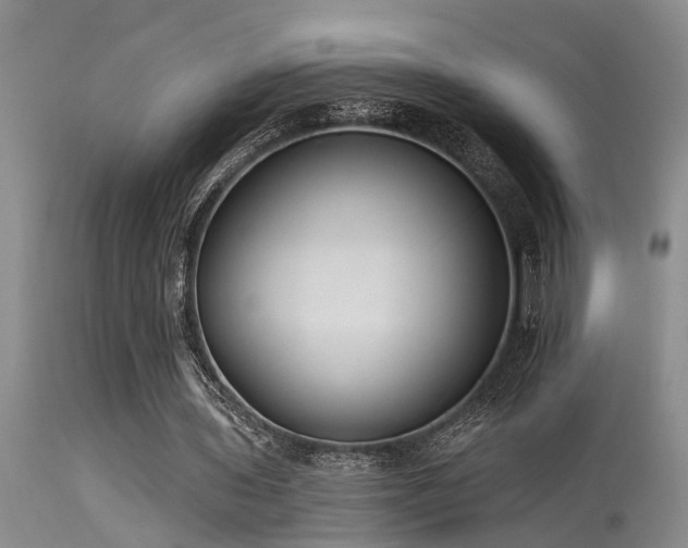 X0000115630435200911101441