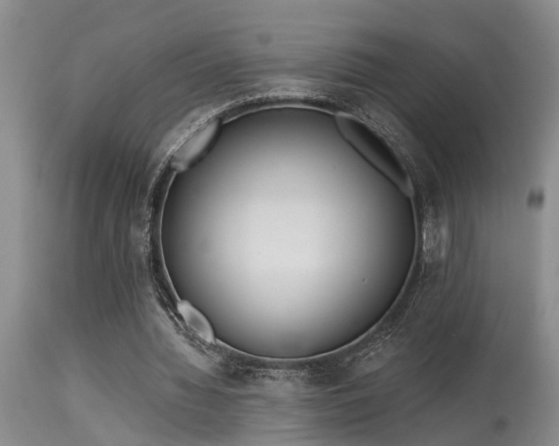 X0000115630436200911101441
