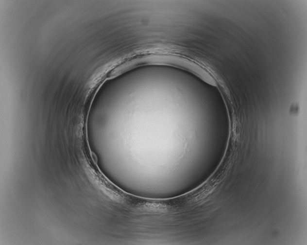 X0000115630437200911101441