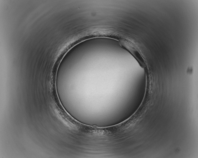 X0000115630439200911101441