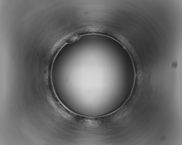 X0000115630442200911101441