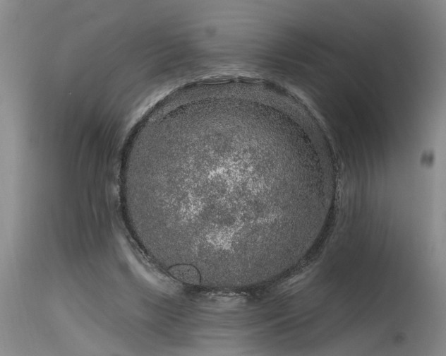X0000115630443200911101441