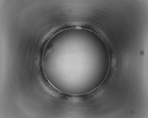 X0000115630444200911101441