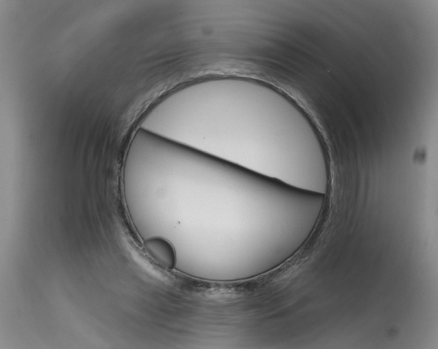 X0000115630445200911101441