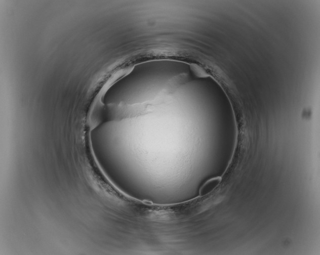 X0000115630446200911101441