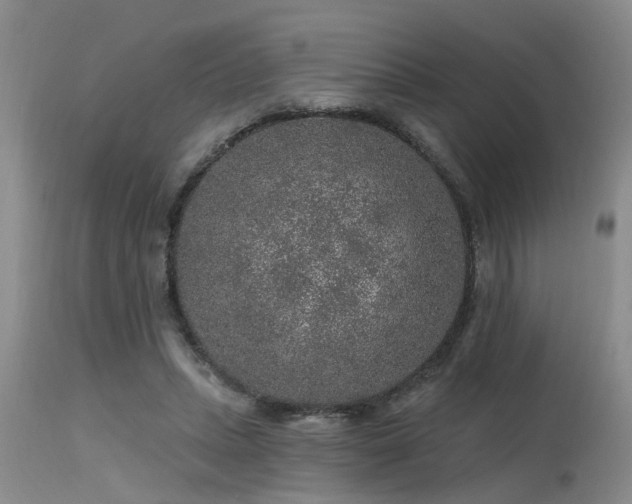 X0000115630447200911101441