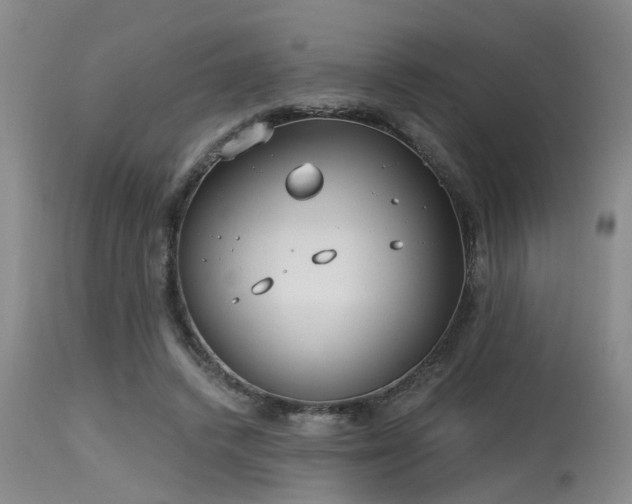 X0000115630448200911101441