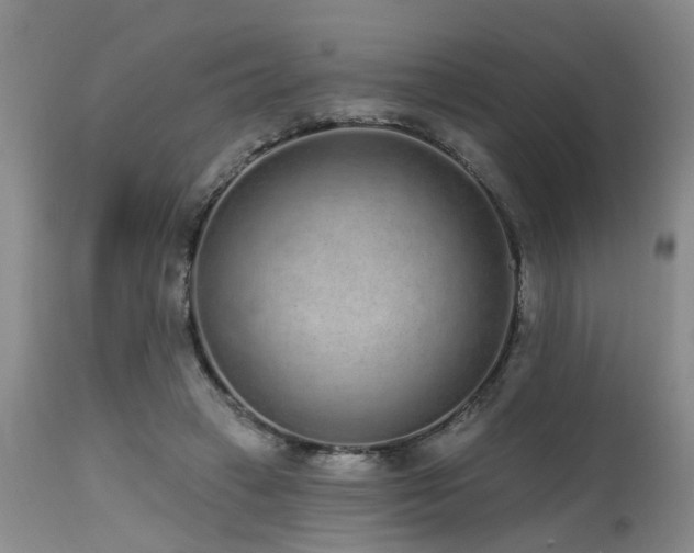 X0000115630449200911101441