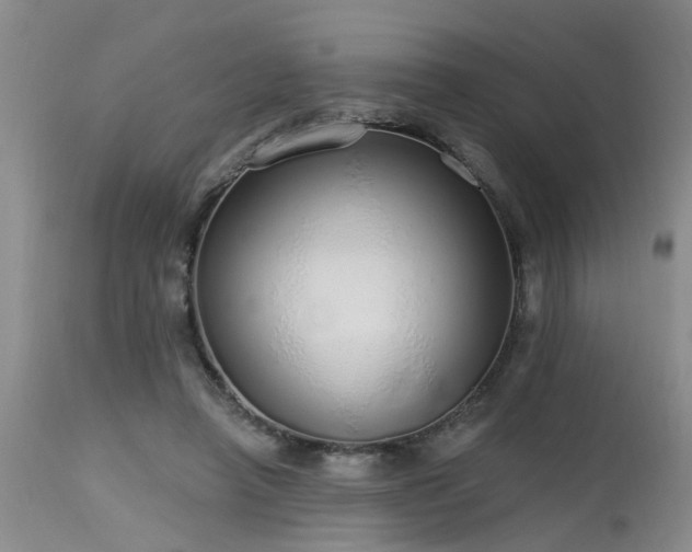 X0000115630450200911101441
