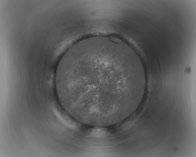 X0000115630451200911101441