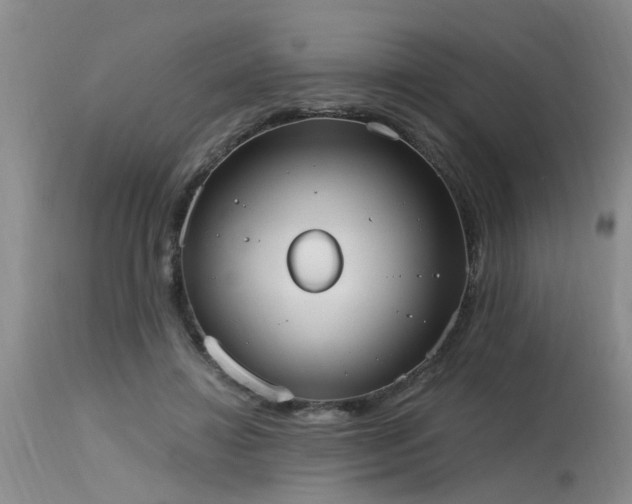 X0000115630452200911101441