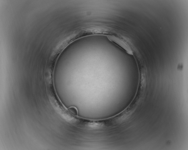 X0000115630453200911101441