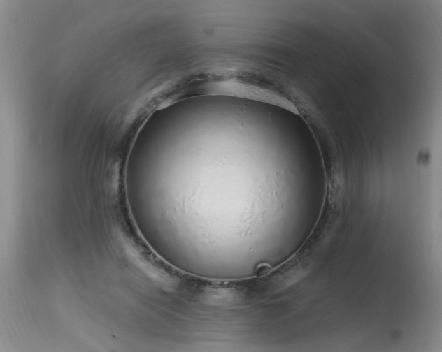 X0000115630454200911101441