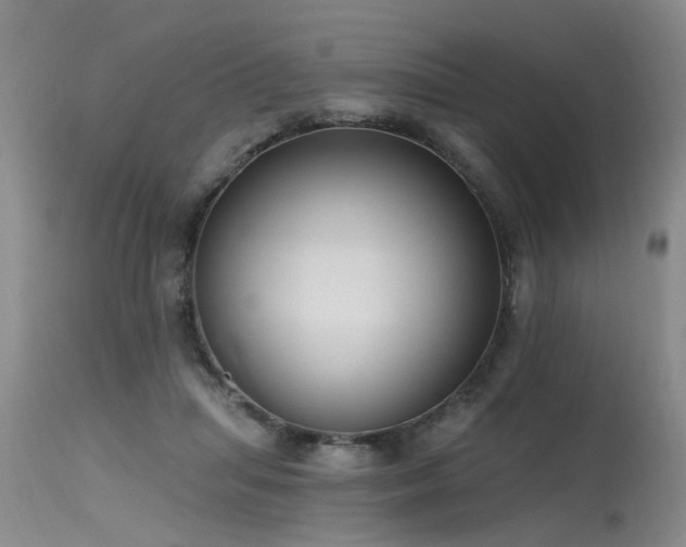 X0000115630455200911101441