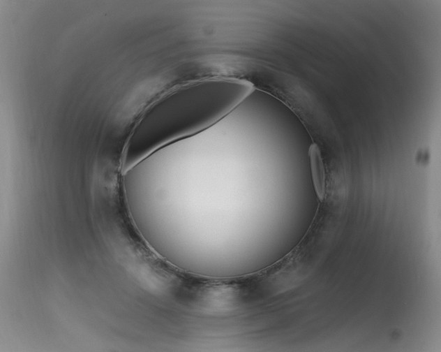 X0000115630456200911101441