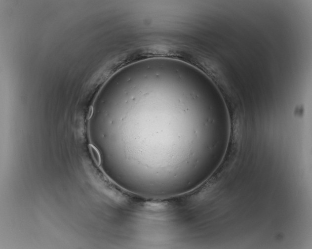 X0000115630457200911101441
