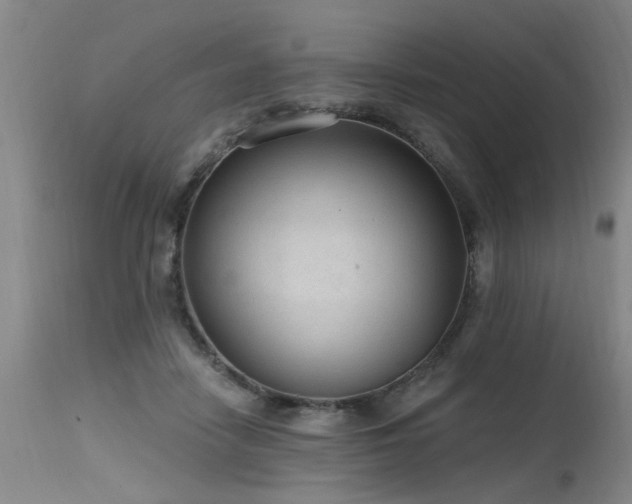 X0000115630458200911101441