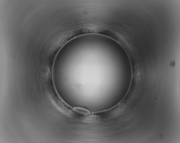 X0000115630459200911101441