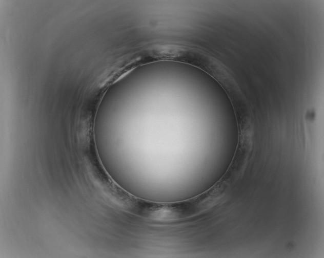 X0000115630460200911101442