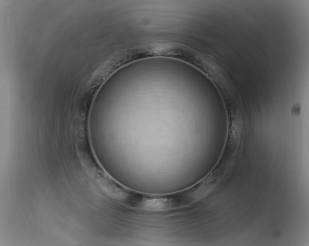X0000115630461200911101442
