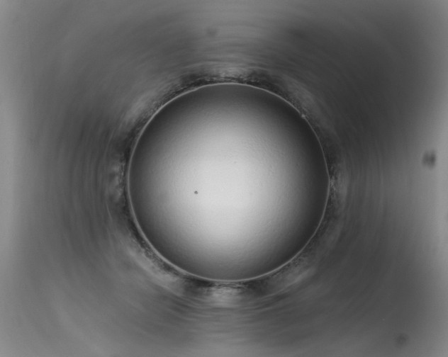 X0000115630462200911101442