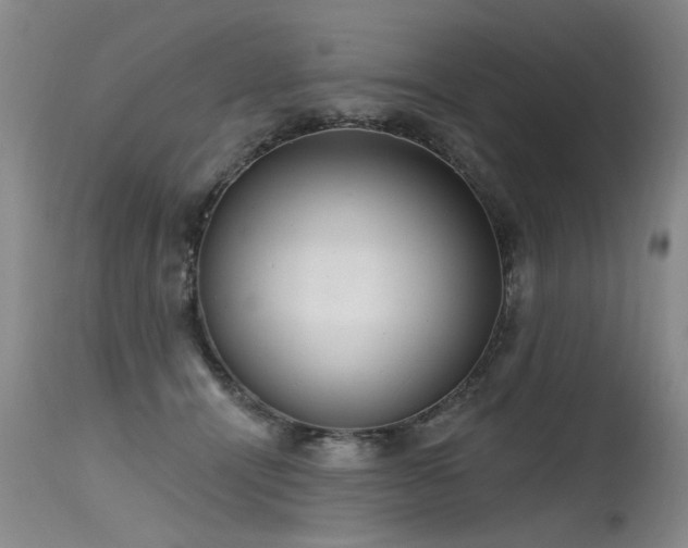 X0000115630464200911101442