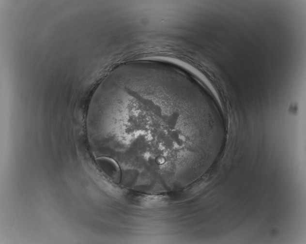 X0000115630465200911101442
